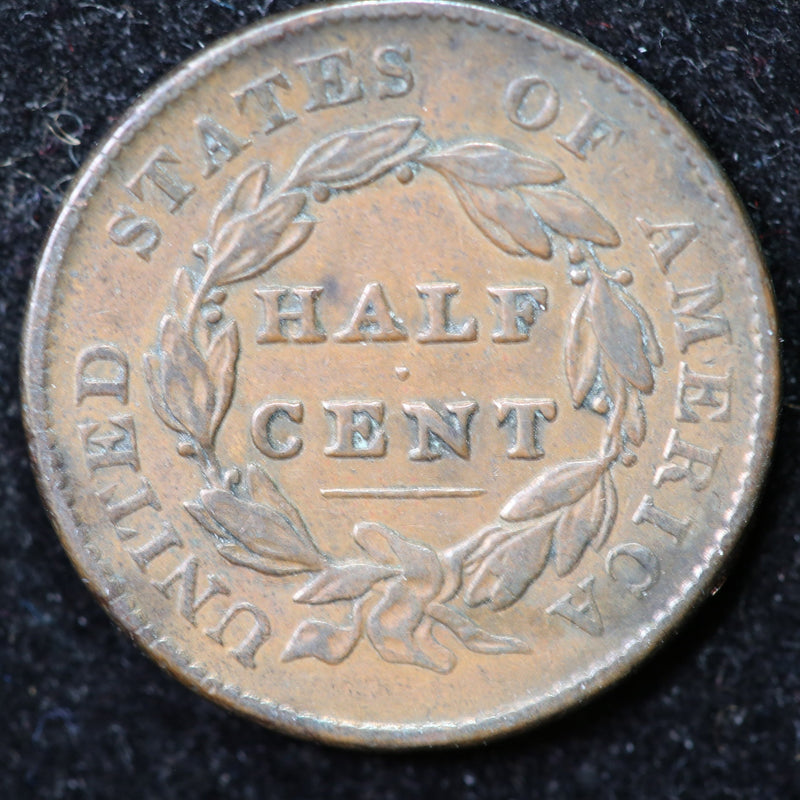 1828 Classic Head Half Cent, Affordable Collectible Coin. Store