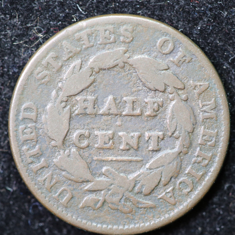 1835 Classic Head Half Cent, Affordable Collectible Coin. Store