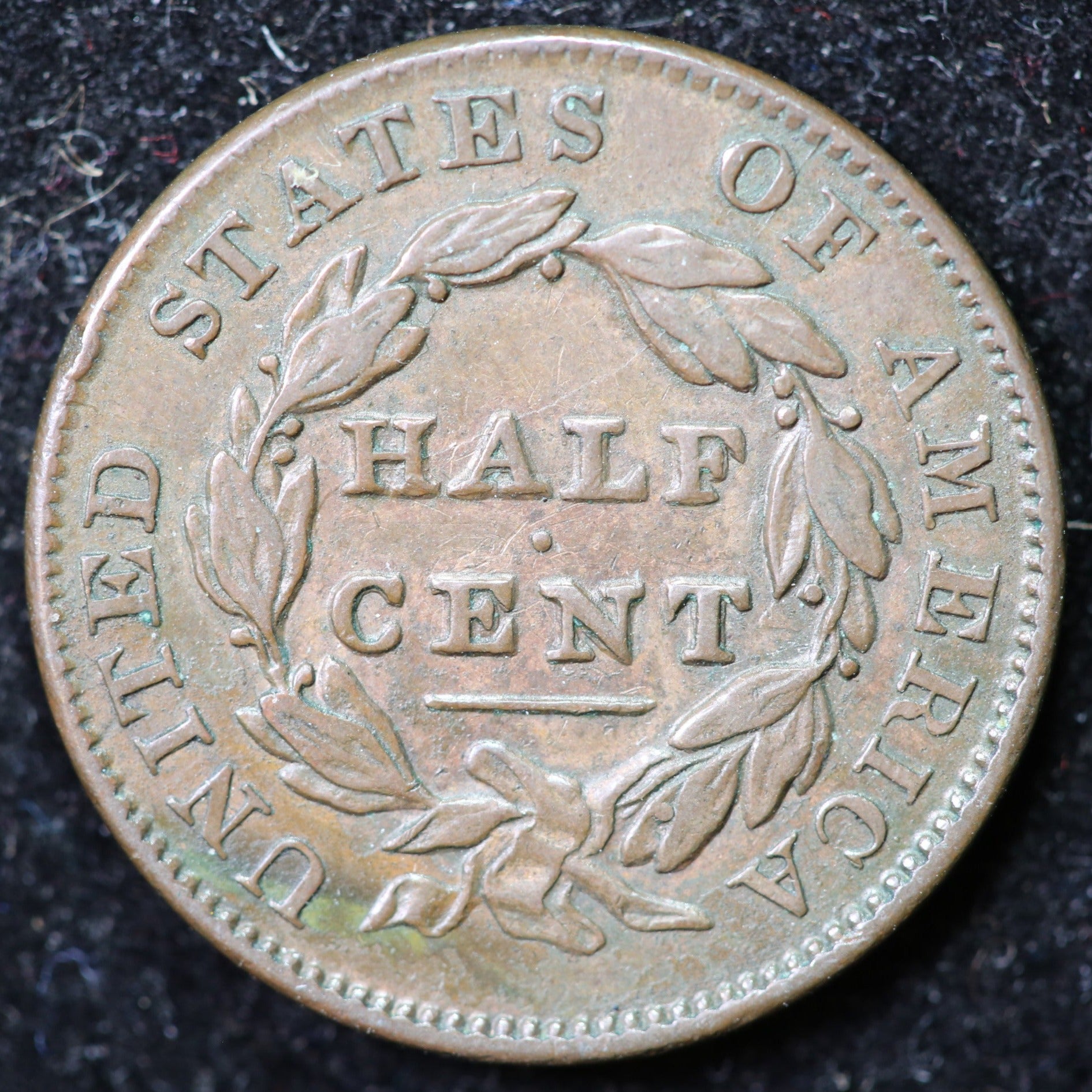 1835 Classic Head Half Cent, Affordable Collectible Coin. Store #1269113