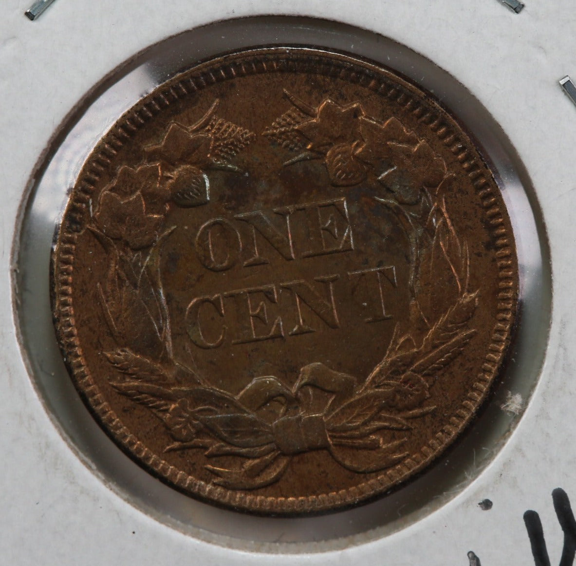 1857 Flying Eagle Cent, Nice Coin Uncirculated GEM Details, Store #83002