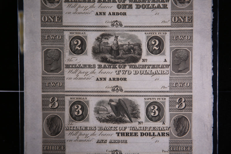 1800's Ann Arbor, Michigan., Full Sheet.,  Obsolete Currency, Store Sale 093219