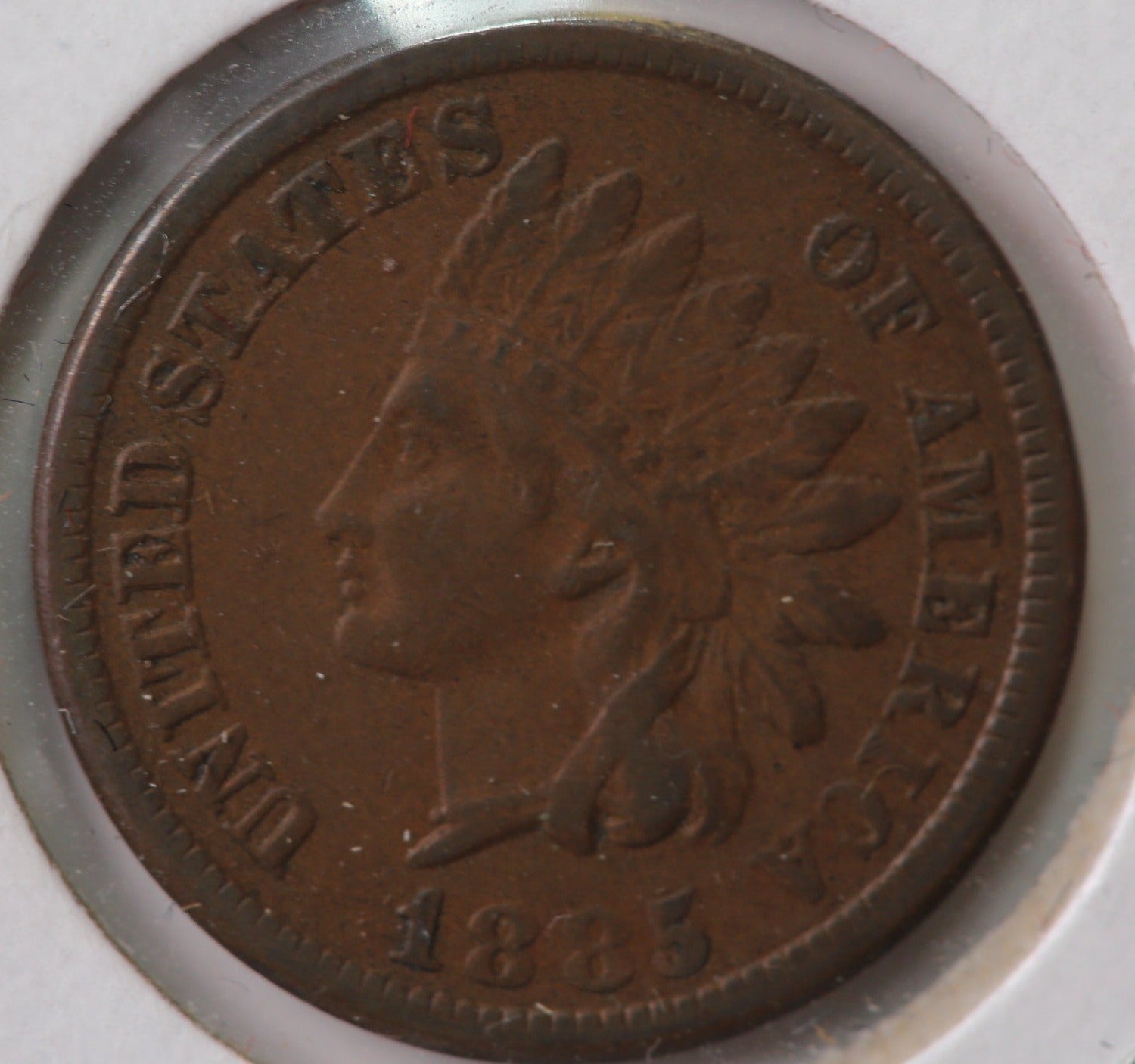 1885 Indian Head Cent, Circulated Coin XF Details, Store #C885.01