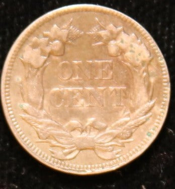 1858 Small Cent Flying Eagle Let, Nice Fine Details, Store #242452