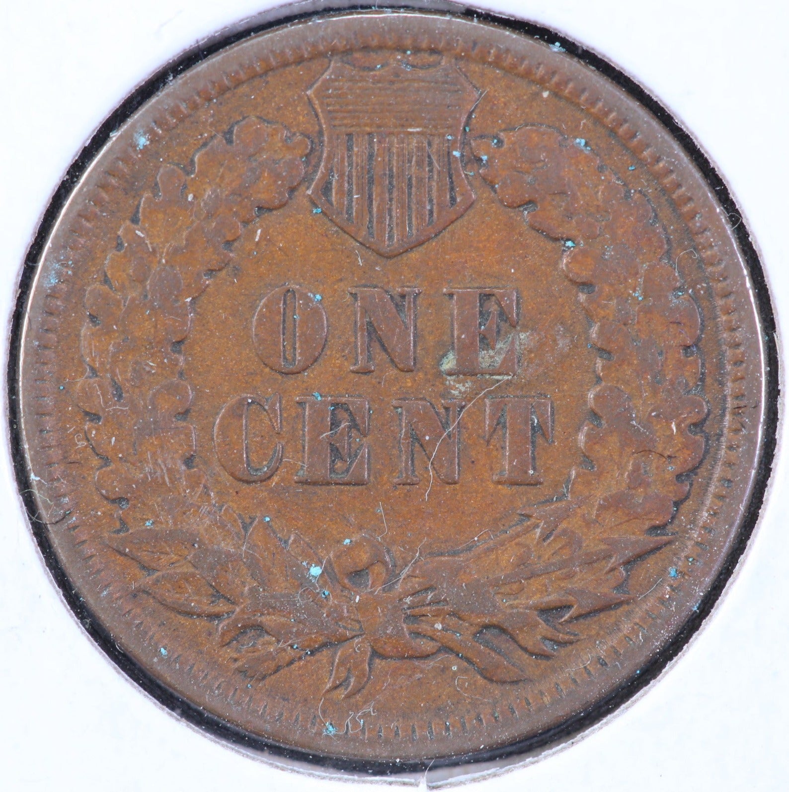 1895 Indian Head Cent, Circulated Affordable Coin, Store #90130