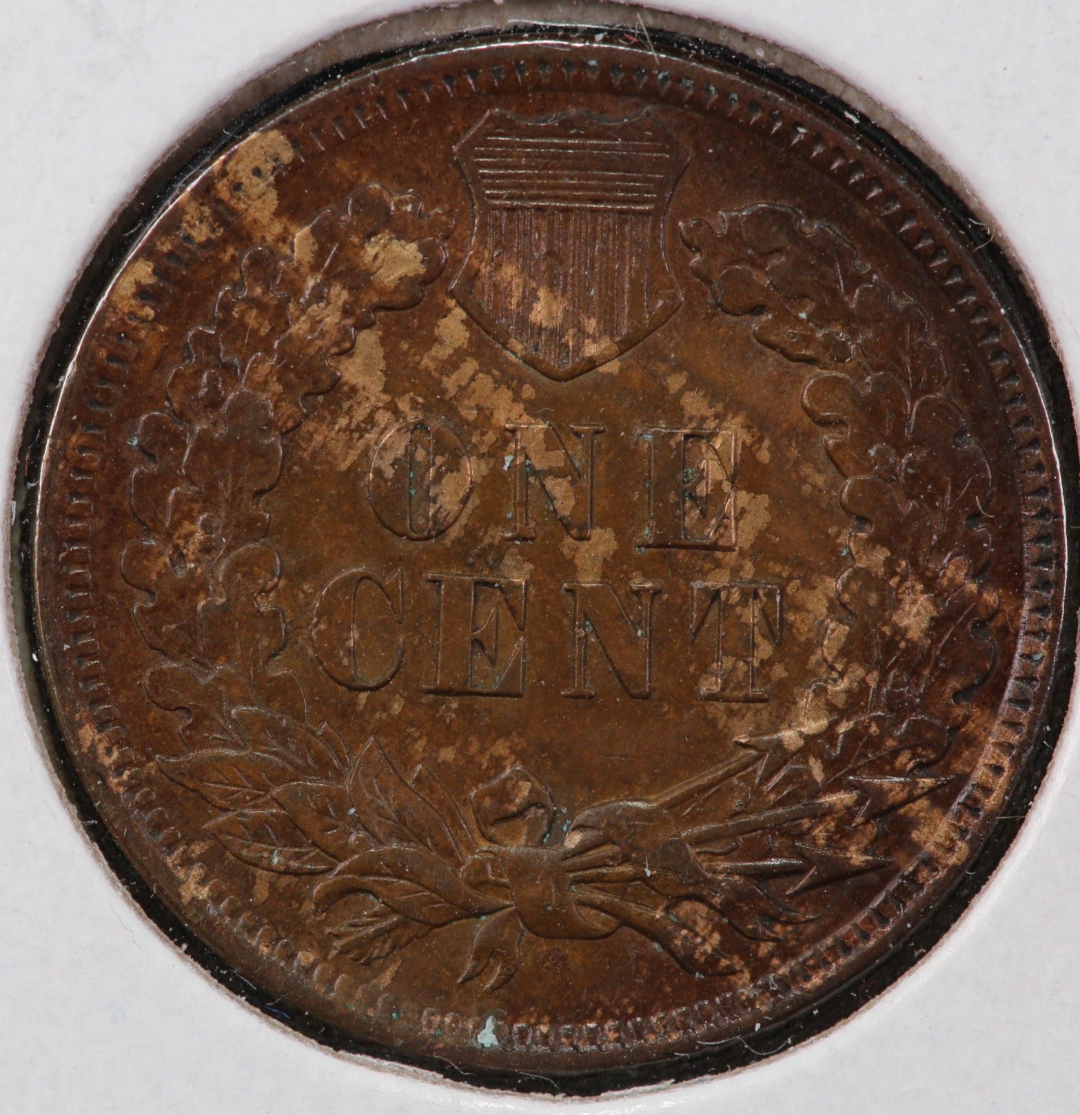 1901 Indian Head Cent, Circulated Affordable Coin, Store #90135