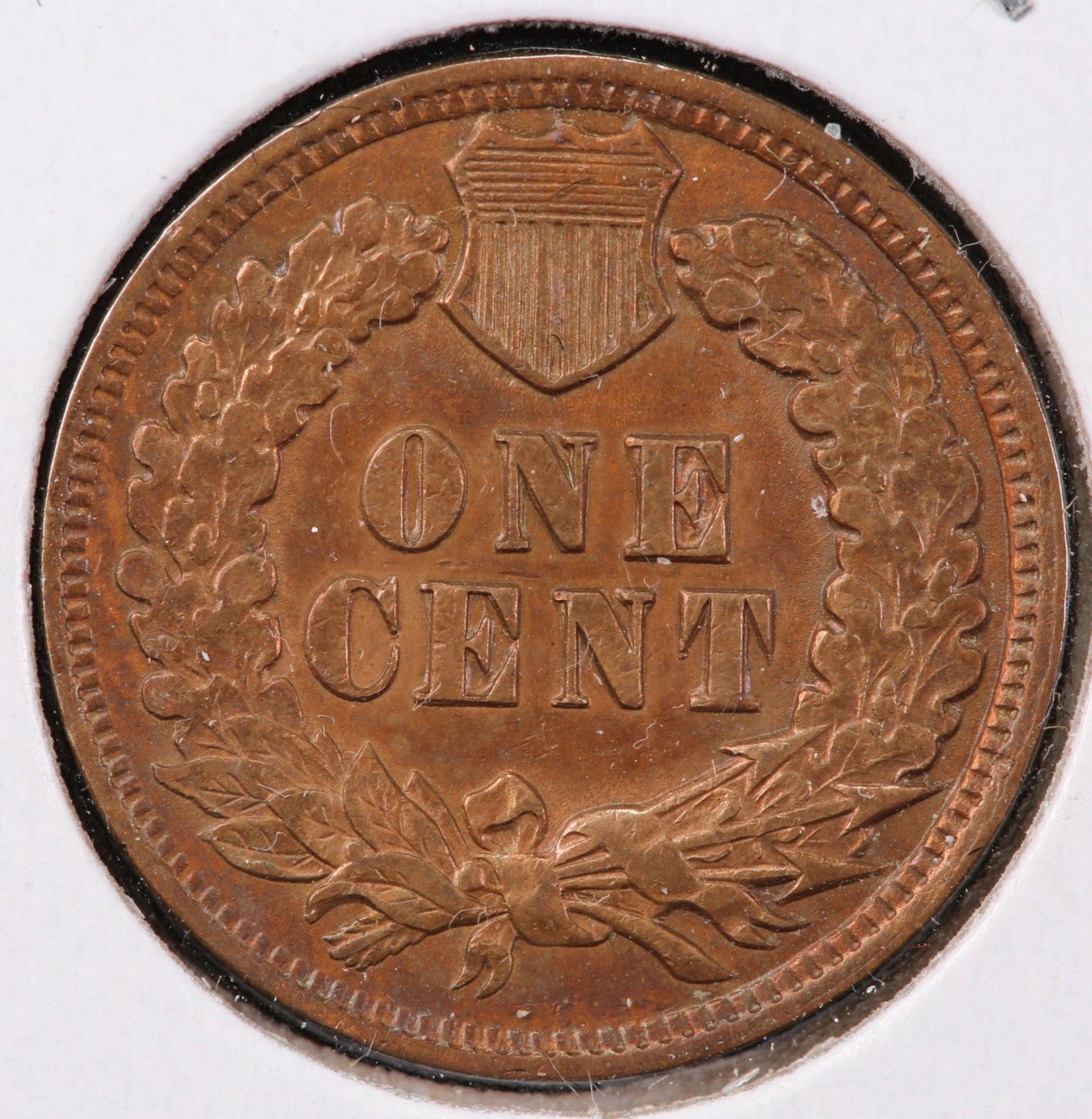 1902 Indian Head Cent, Gem Brown Uncirculated Coin, Store #90140