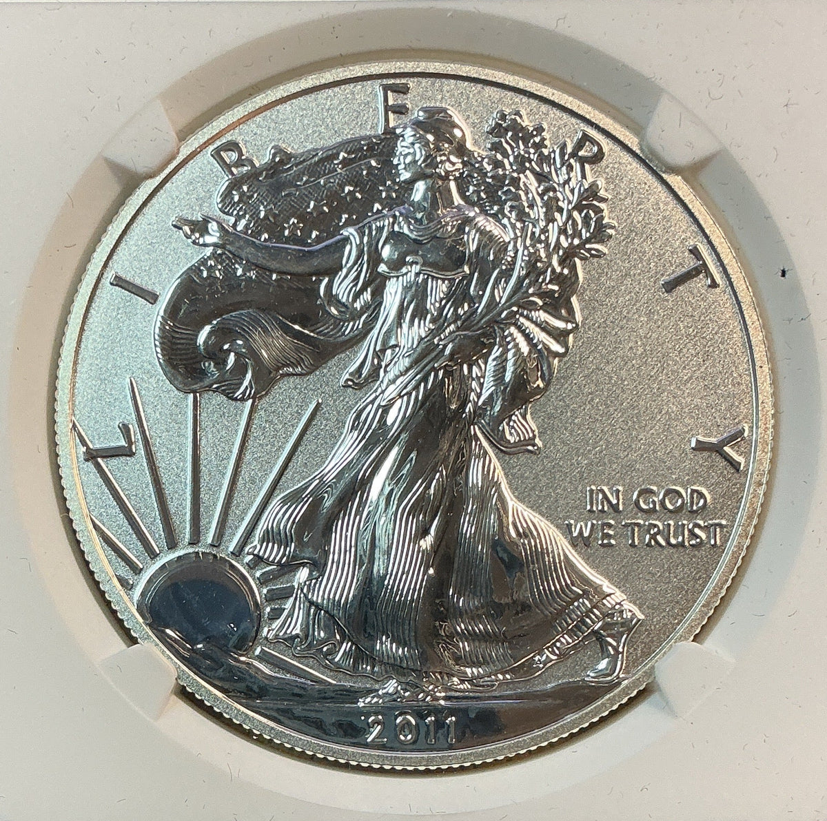 2011-P American Silver Eagle $1, NGC PF-69 Reverse Proof, Store #AE0552