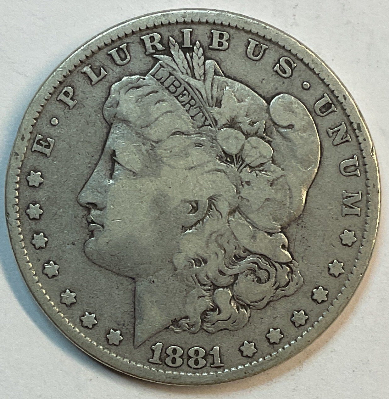 1881 Morgan Dollar, Fine Circulated Coin, Store #DR0855