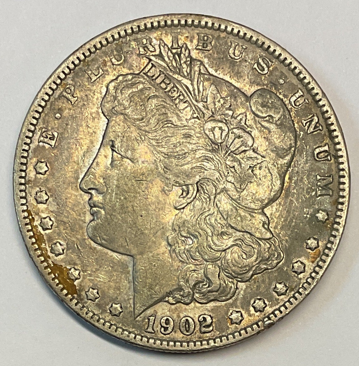 1902 Morgan Dollar, Extra Fine Circulated Coin, Store #DR0919