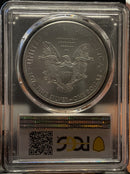 .999 Silver, 1 Troy Ounce, 2009 American Silver Eagle, PCGS MS-70, Store