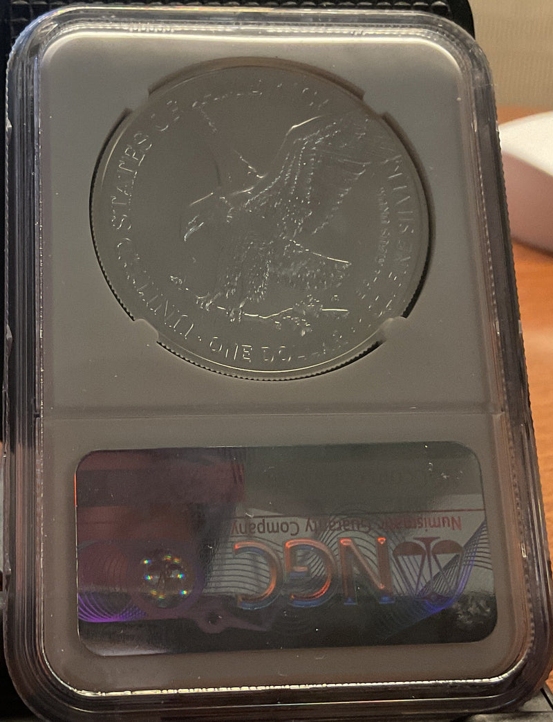 .999 Silver, 1 Troy Ounce, 2023 (W) American Silver Eagle, NGC MS-69, Store
