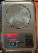 .999 Silver, 1 Troy Ounce, 2025 American Silver Eagle, Privy, NGC MS-70, Store