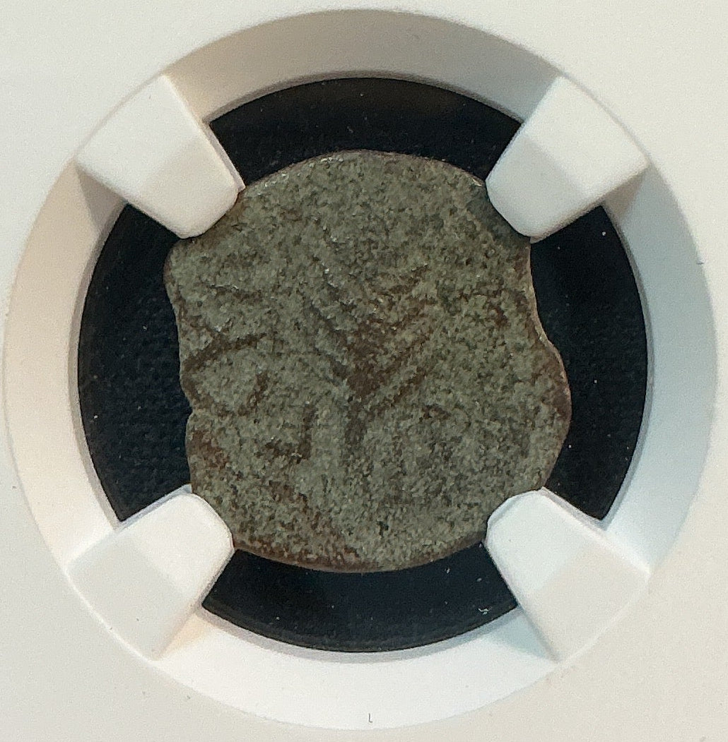 Ancient Coinage, F, Governors of Judaea, Porcius Festus, AD 59-62, Store #AT0013