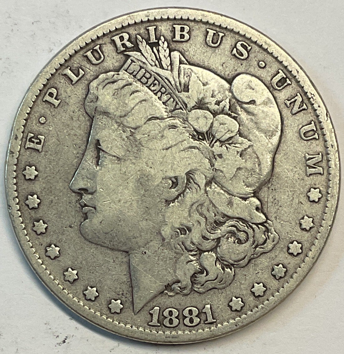 1881 Morgan Dollar, Fine Circulated Coin, Store #DR0855
