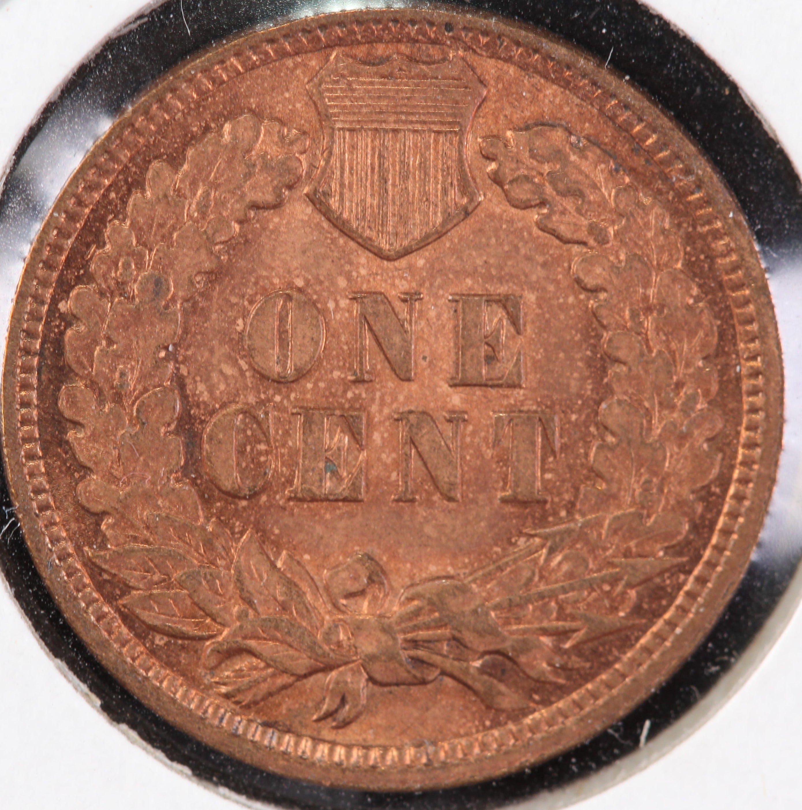 1908 Indian Head Cent, Uncirculated Affordable Coin, Store #90164