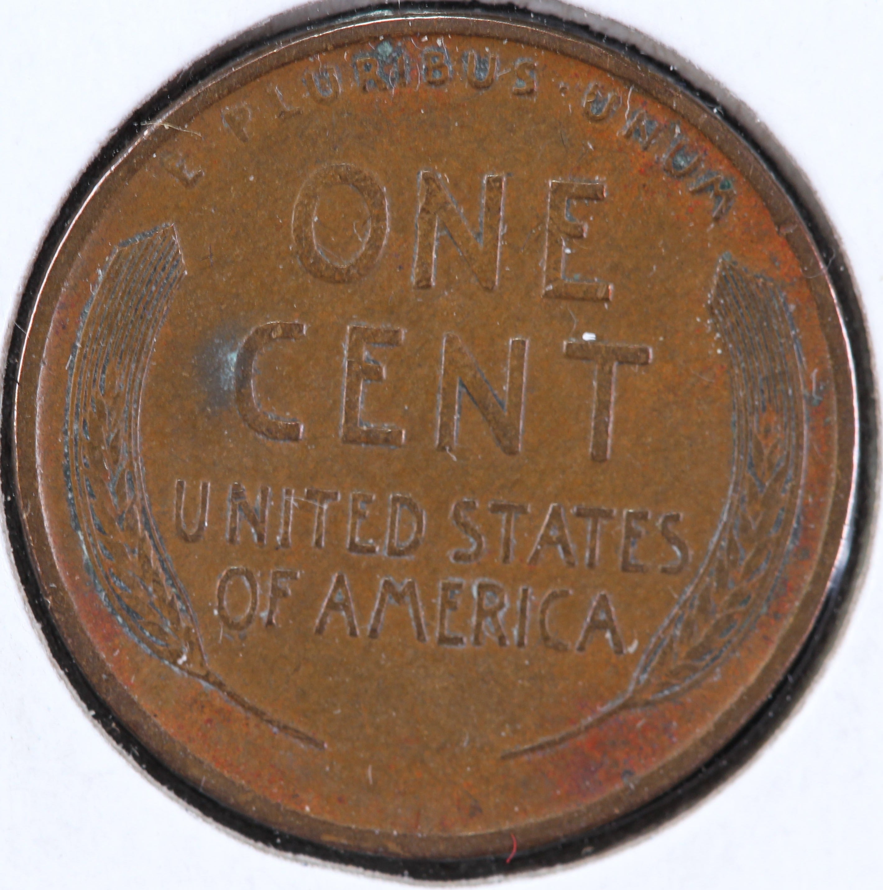 1909 Lincoln Cent, Circulated Affordable Coin, Store #23090176
