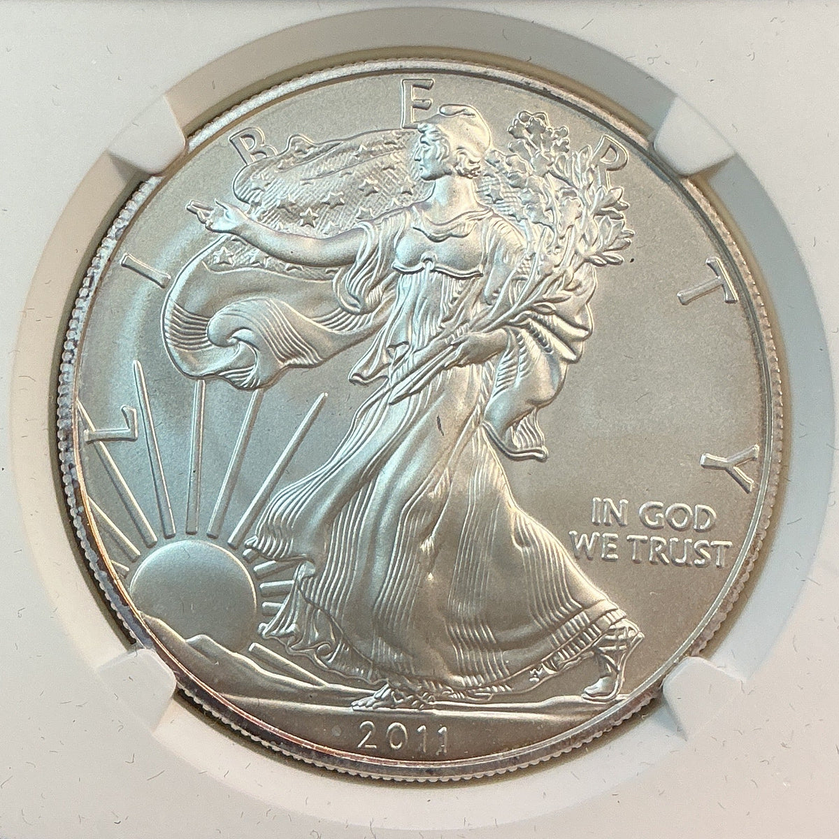 2011 American Silver Eagle $1, 25th Anniversary, NGC MS69, Store #AE0553