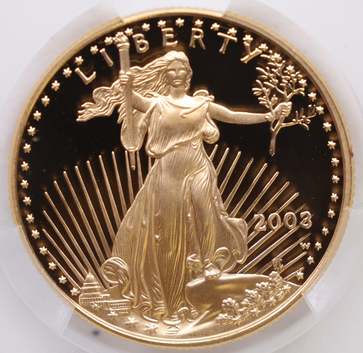 2003-W $25, Proof Gold American Eagle Coin, 1/2 OZT, CAC PR68, Store #GMC270.