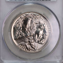2001-D, American Buffalo., Silver Commemorative., CAC MS67., Store GMC071