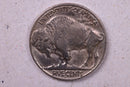 1914-D Buffalo Nickel., Extra Fine + Circulated Coin., Store