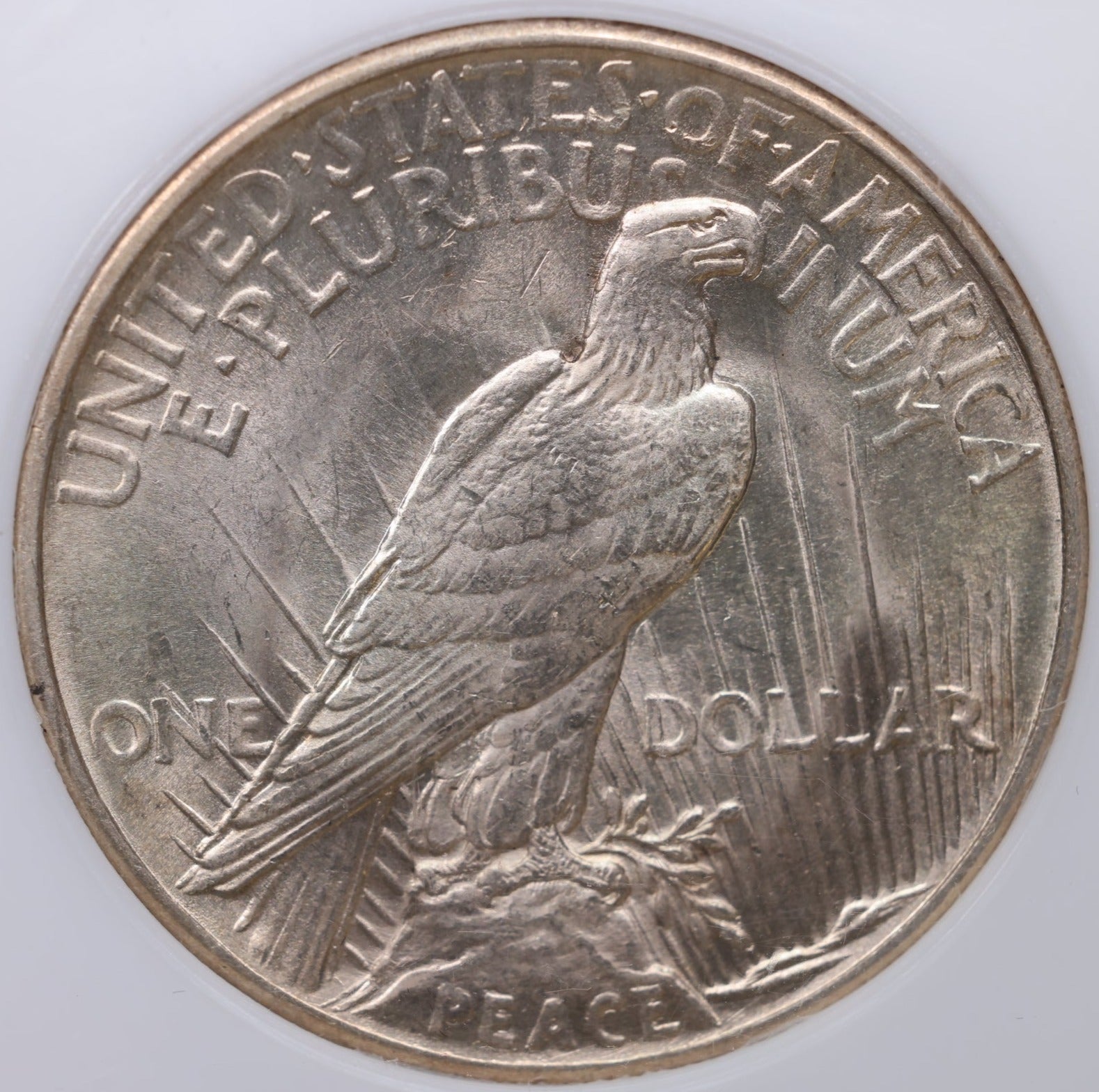 1921 Peace Silver Dollar, Gem Uncirculated. Store Sale #S015002