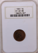 1901 Indian Head Cents, 'PROOF STRIKE', NGC PF-63, R/B, Store Sale