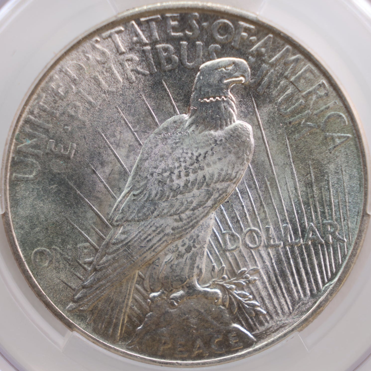 1925 Peace Silver Dollar, CAC MS63, Store #GDR0276
