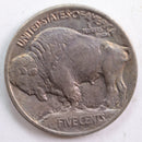 1913 Type 1 Buffalo Nickel, About Uncirculated Coin, Store