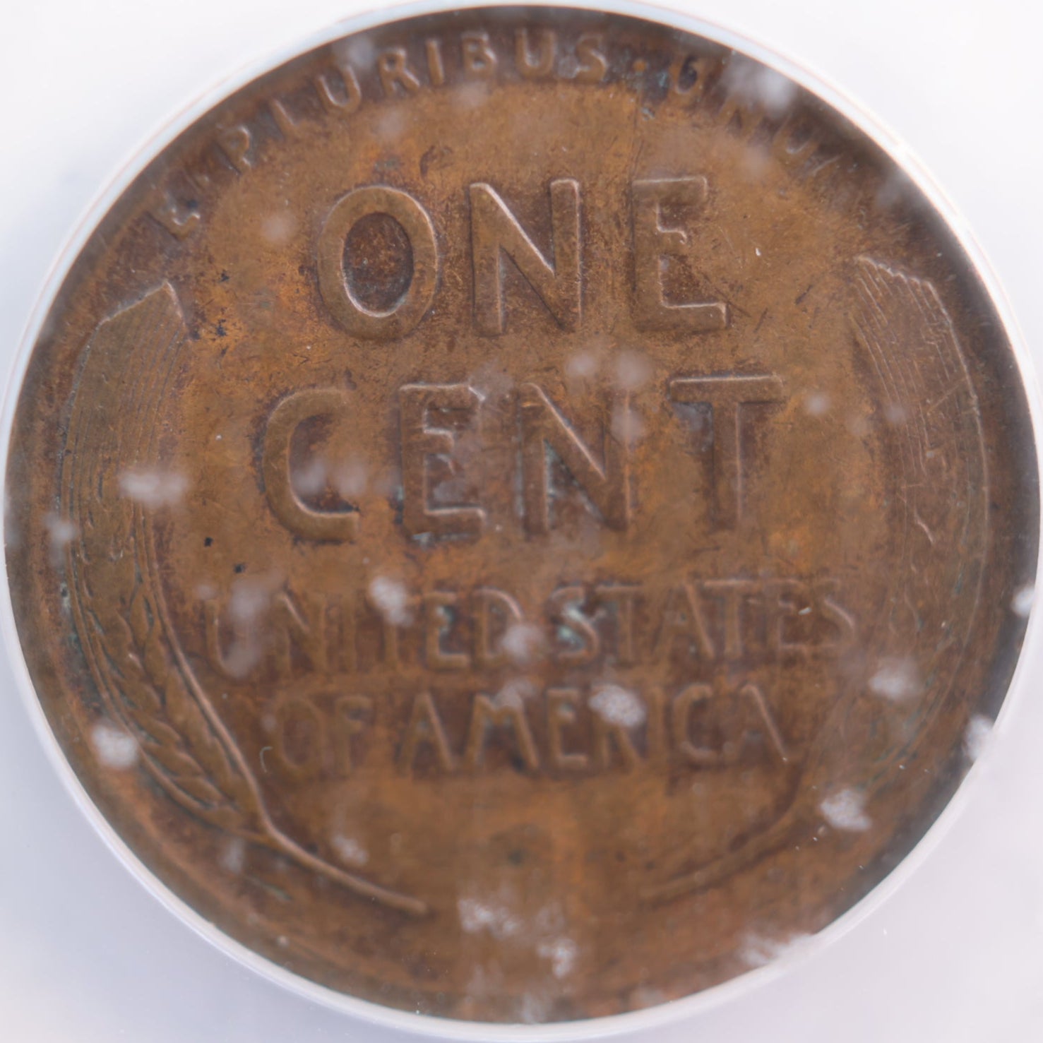 1912-S Lincoln Wheat Cent, ANACS VF 20, Store Sale #GCT056