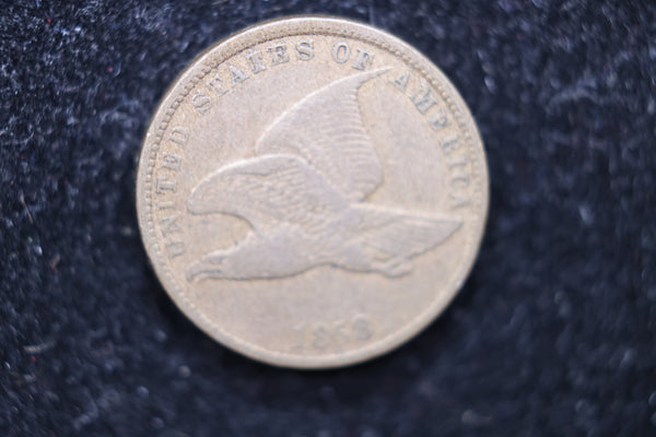 1858 Flying Eagle Cents, Affordable Circulated Coin, SALE #88102