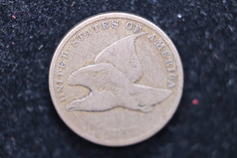 1858 Flying Eagle Cents, Affordable Circulated Coin, SALE