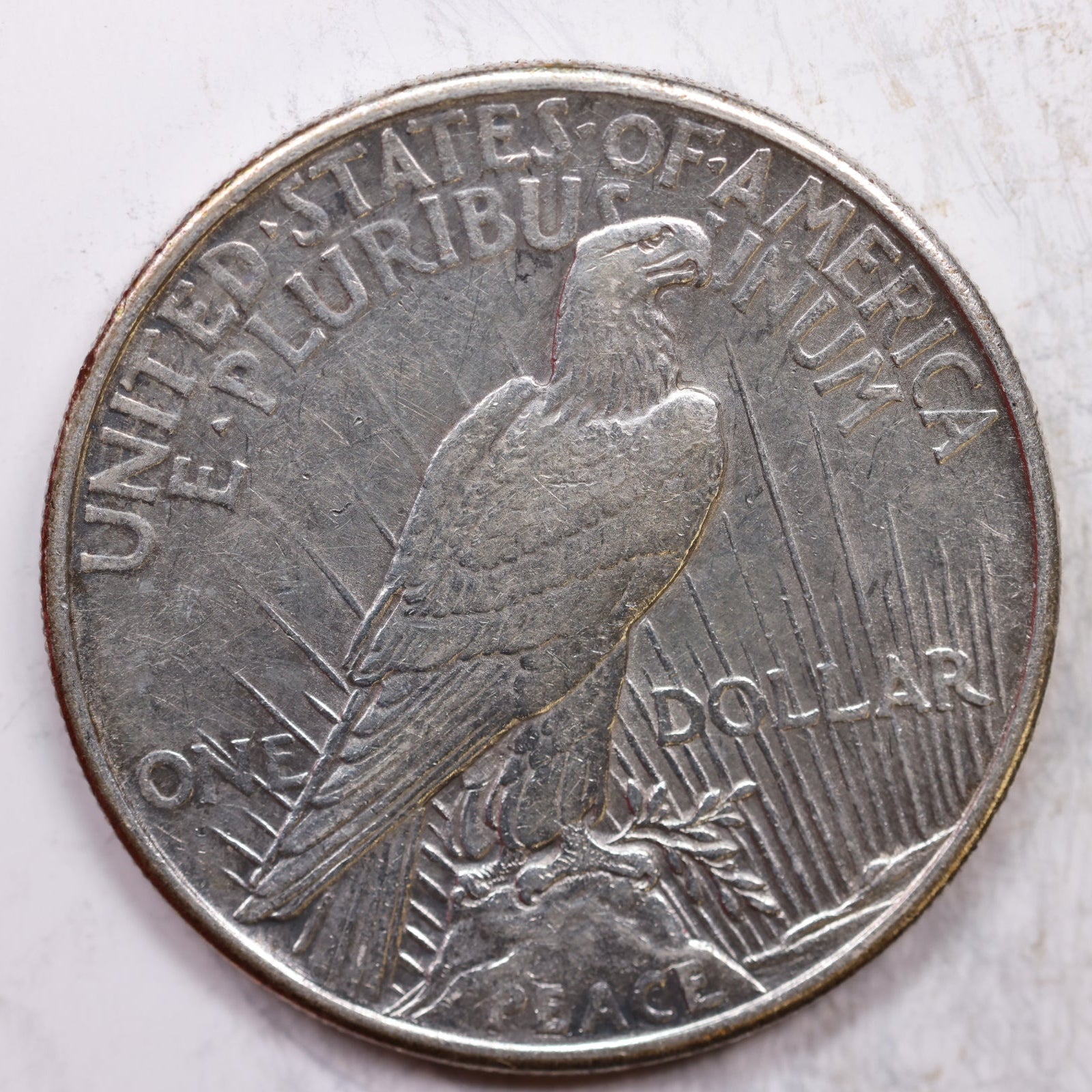 1921 Peace Silver Dollar, *Cleaned* Extra Fine Circulated Coin, Store Sale #DR0291