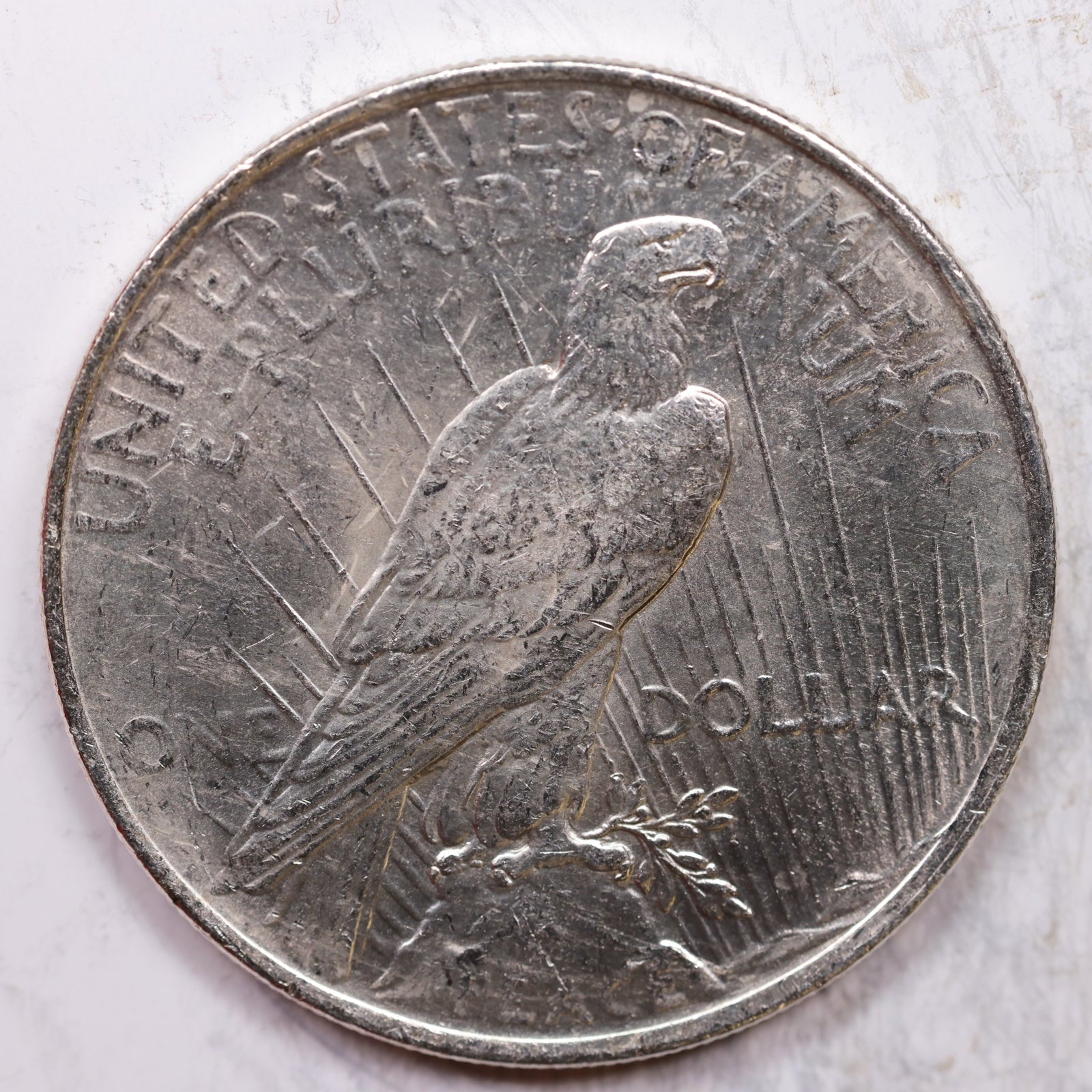 1924 Peace Dollar, About Uncirculated Coin *Cleaned*, Store #DR0316