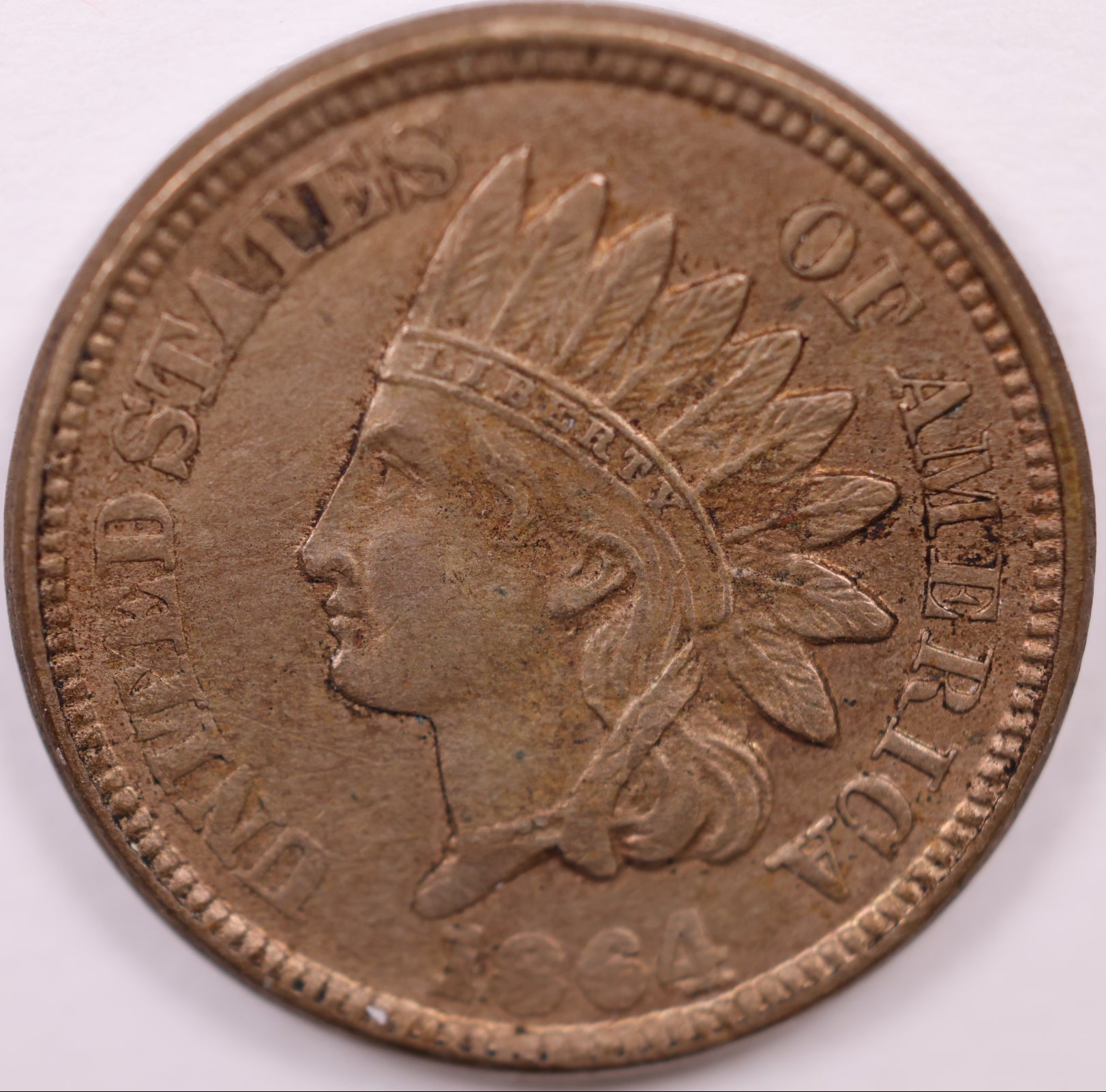 1864 Indian Head Cent, About Uncirculated Coin, Store #CT0909