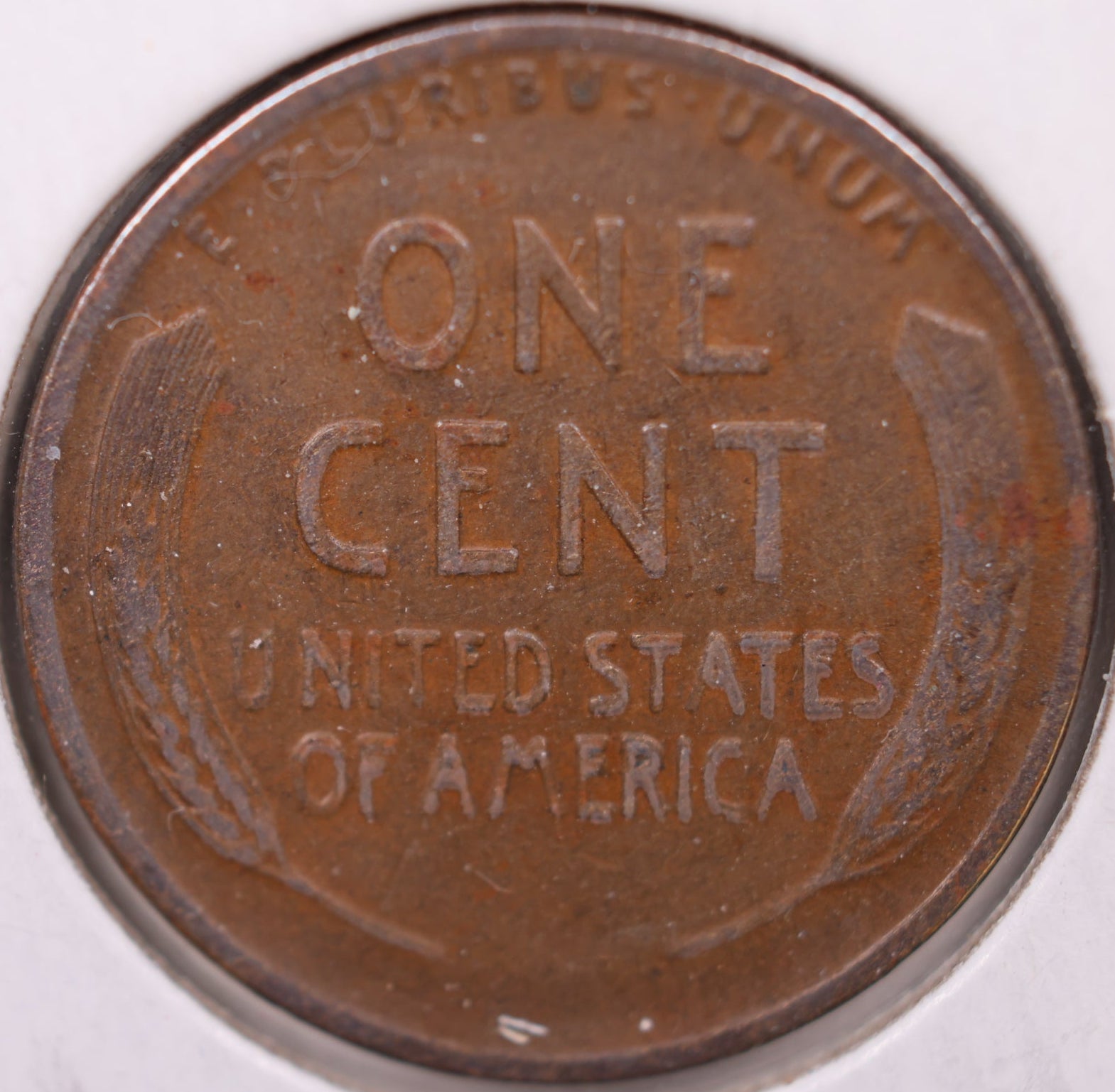 1920 D Lincoln Wheat Cent, Extremely Fine Circulated Coin, Store #CT0921
