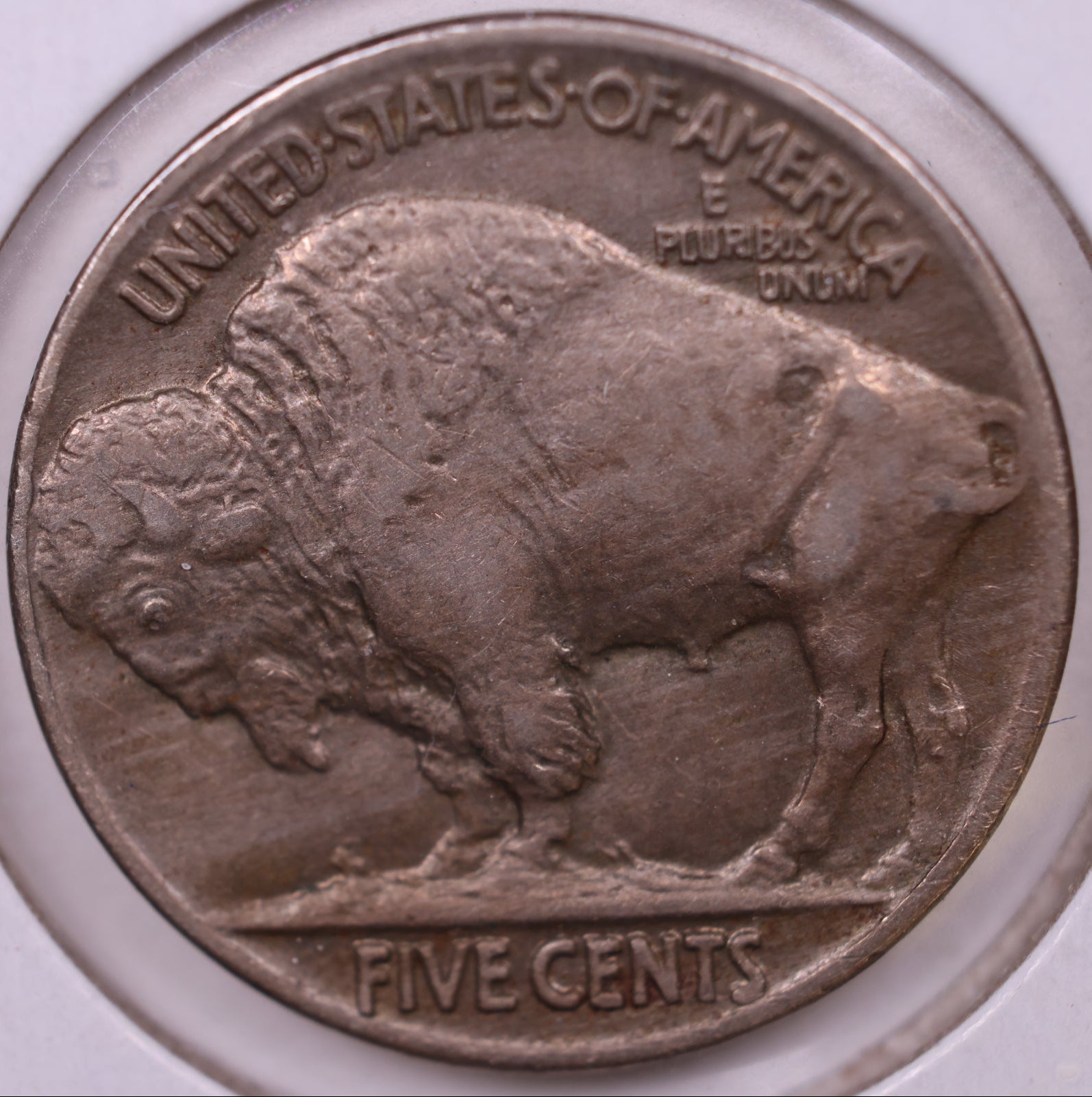 1925 Buffalo Nickel, About Uncirculated Coin, Store #NL658