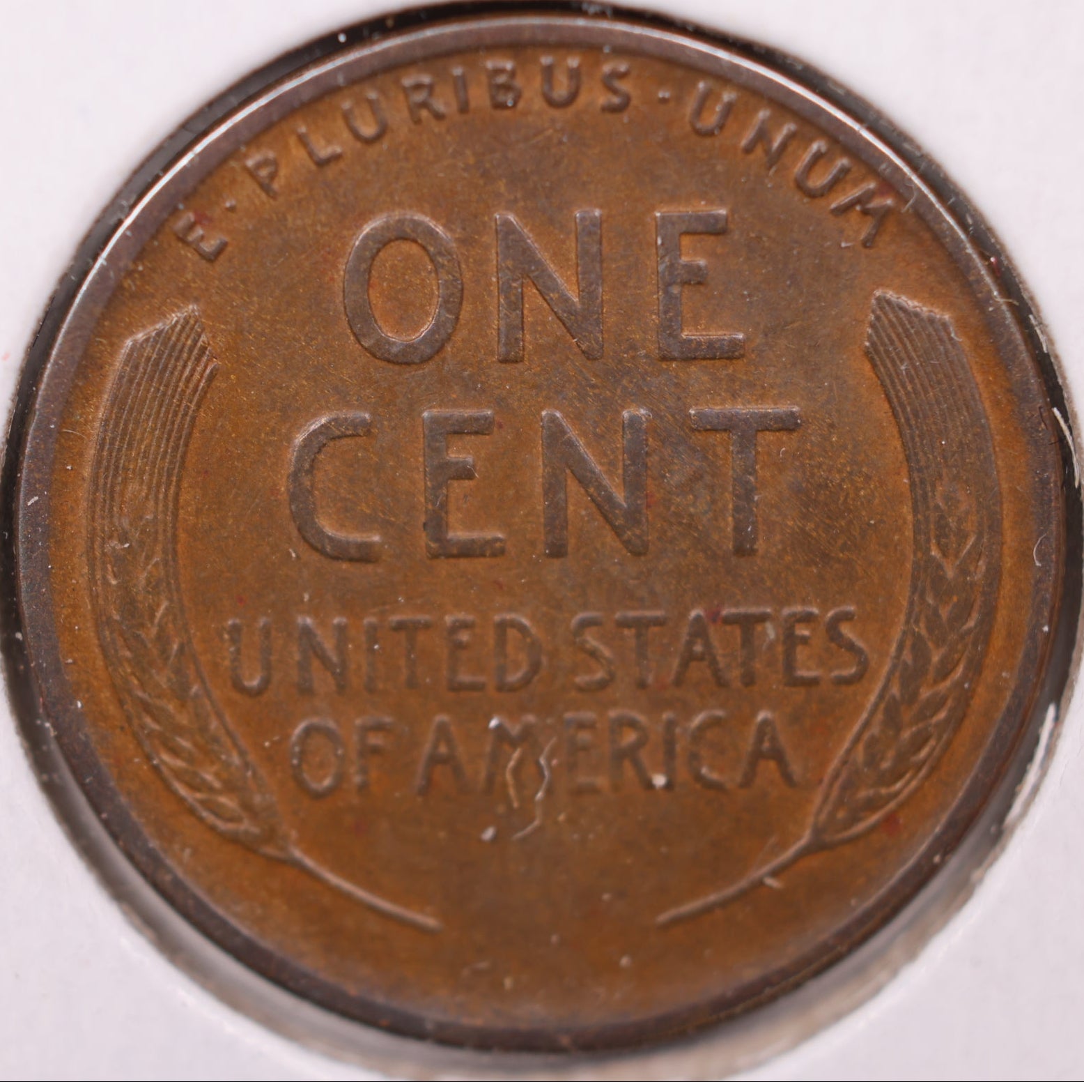 1921 S Lincoln Wheat Cent, About Uncirculated Coin, Store #CT0964