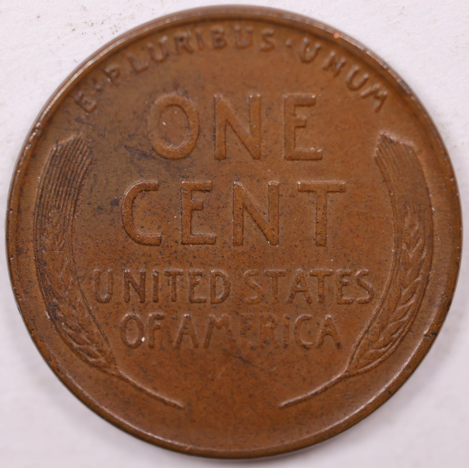 1925 D Lincoln Wheat Cent, About Uncirculated Coin, Store #CT0977