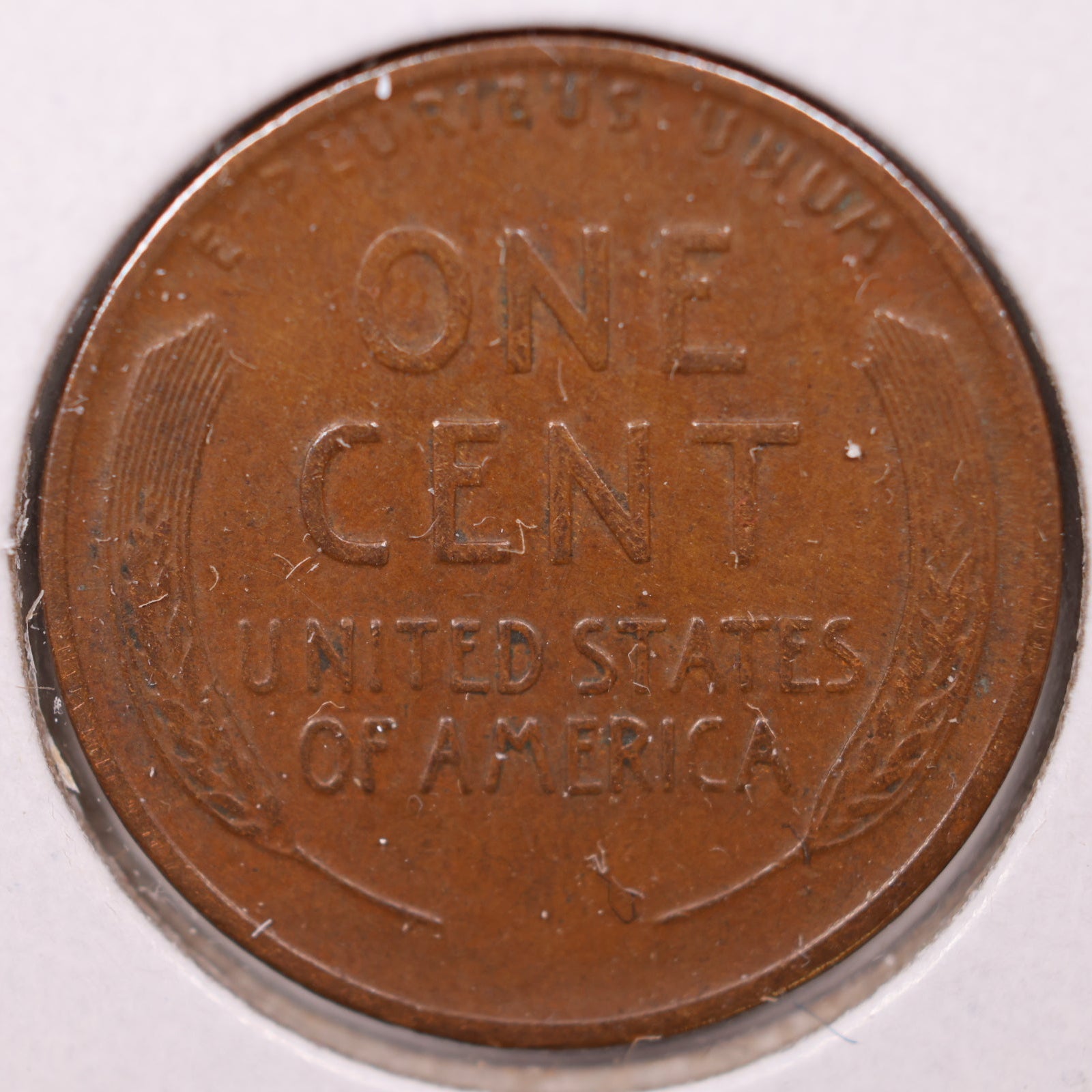 1928 D Lincoln Wheat Cent, Extra Fine Circulated Coin, Store #CT1010