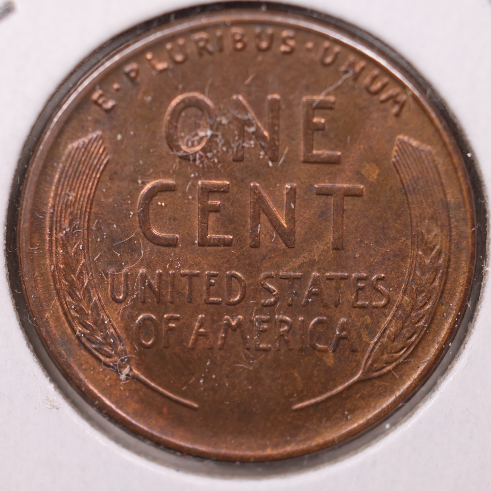 1929 S (R/B) Lincoln Wheat Cent, About Uncirculated Coin, Store #CT10125