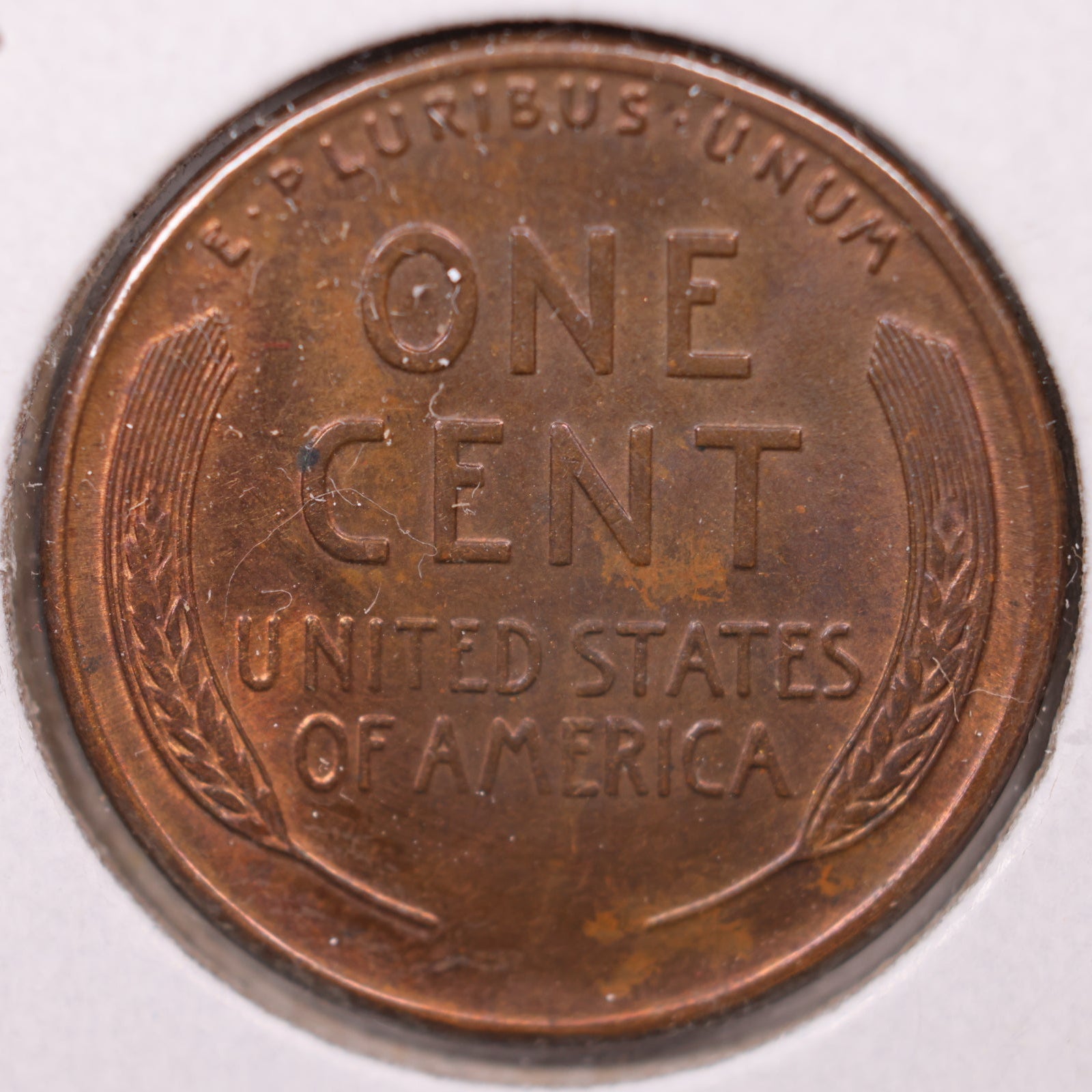 1929 S Lincoln Wheat Cent, About Uncirculated Coin, Store #CT10126