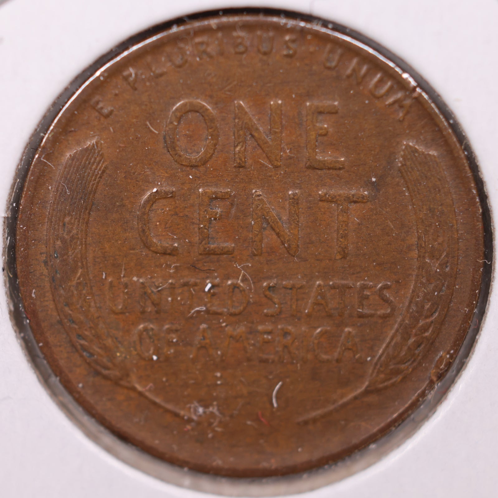 1931 D Lincoln Wheat Cent, Extra Fine Circulated Coin, Store #CT10143