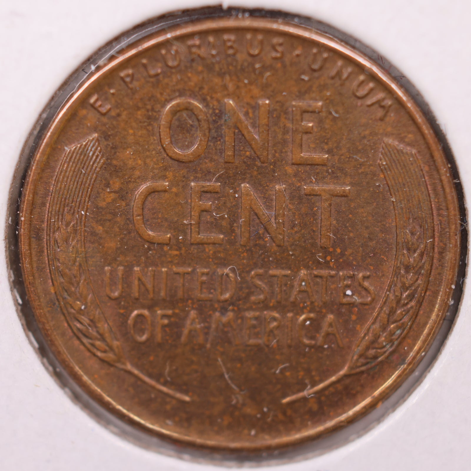 1937 Wheat Cent, Extra Fine Circulated Coin, Store #CT10181