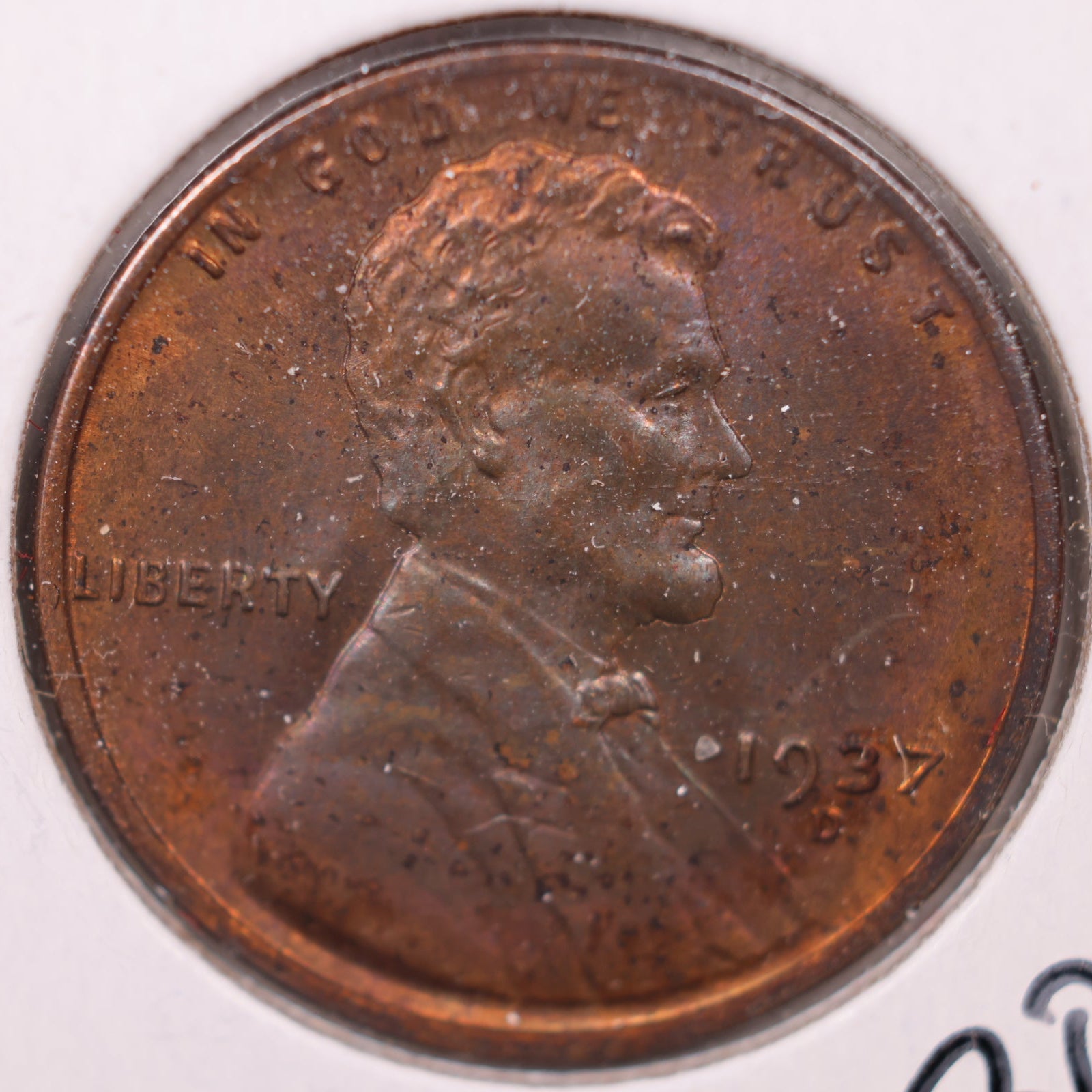 1937 D Chocolate Brown Wheat Cent, Mint State Uncirculated Coin, Store #CT10185