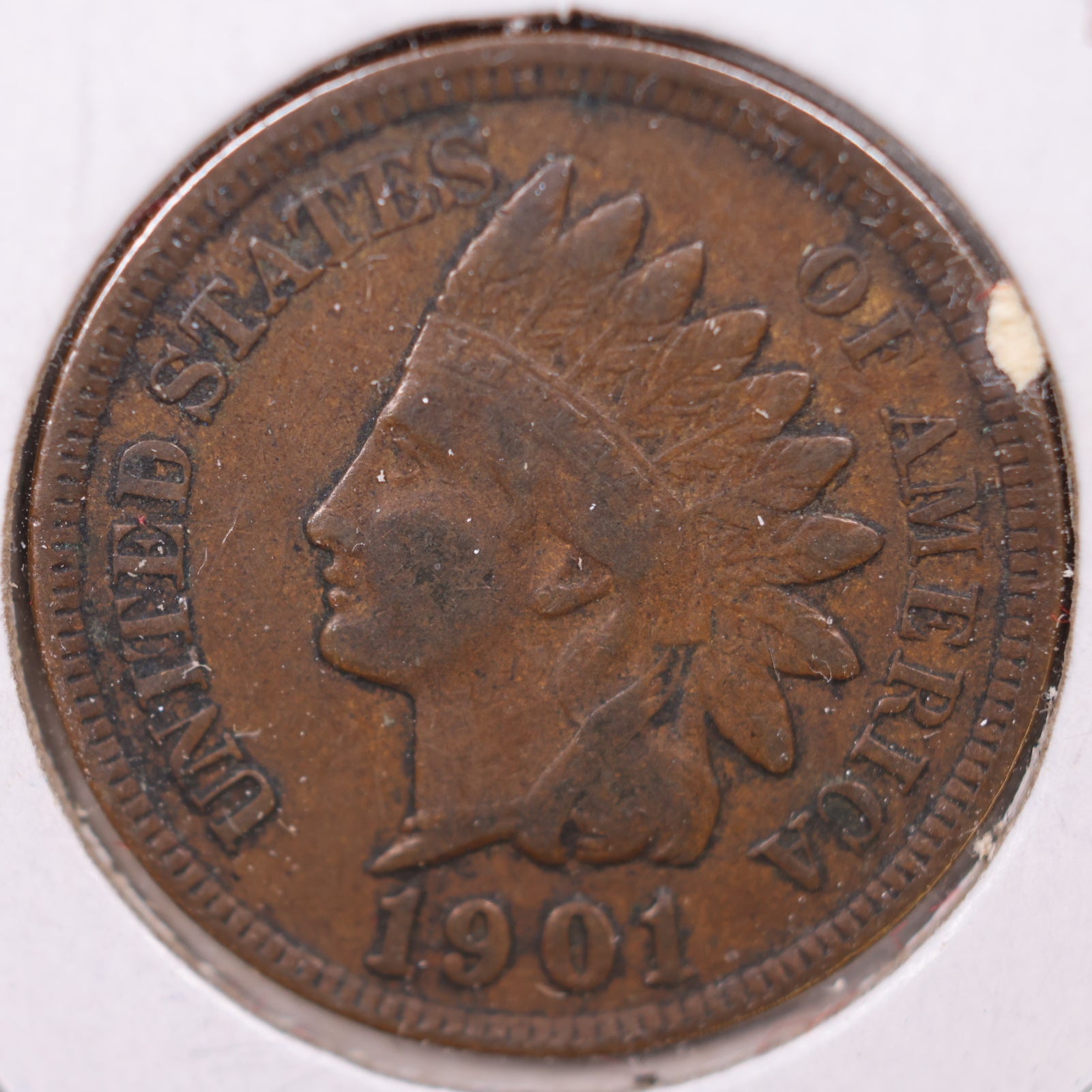 1901 Indian Head Cent, Extra Fine Circulated Coin, Store #CT1112
