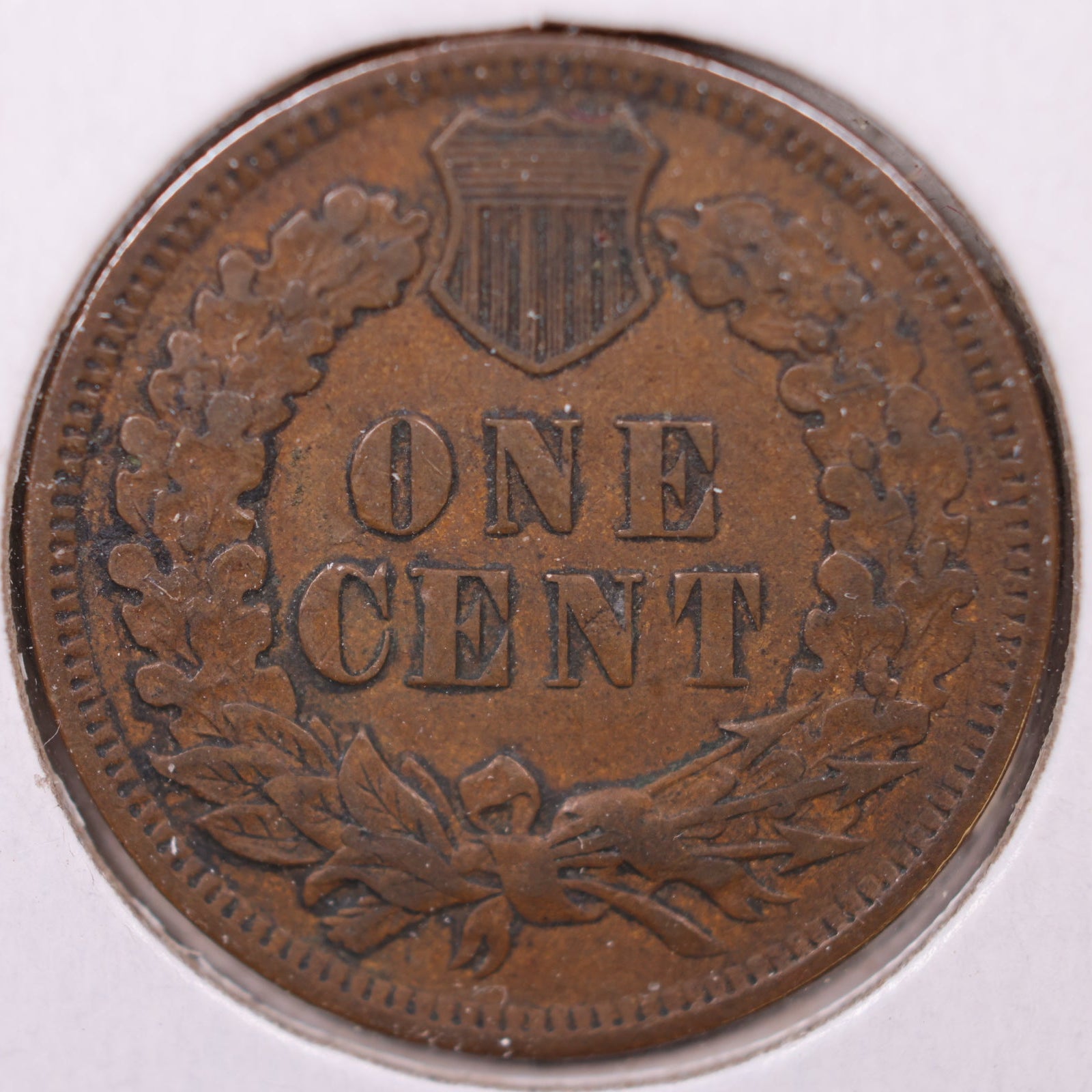 1901 Indian Head Cent, Extra Fine Circulated Coin, Store #CT1112