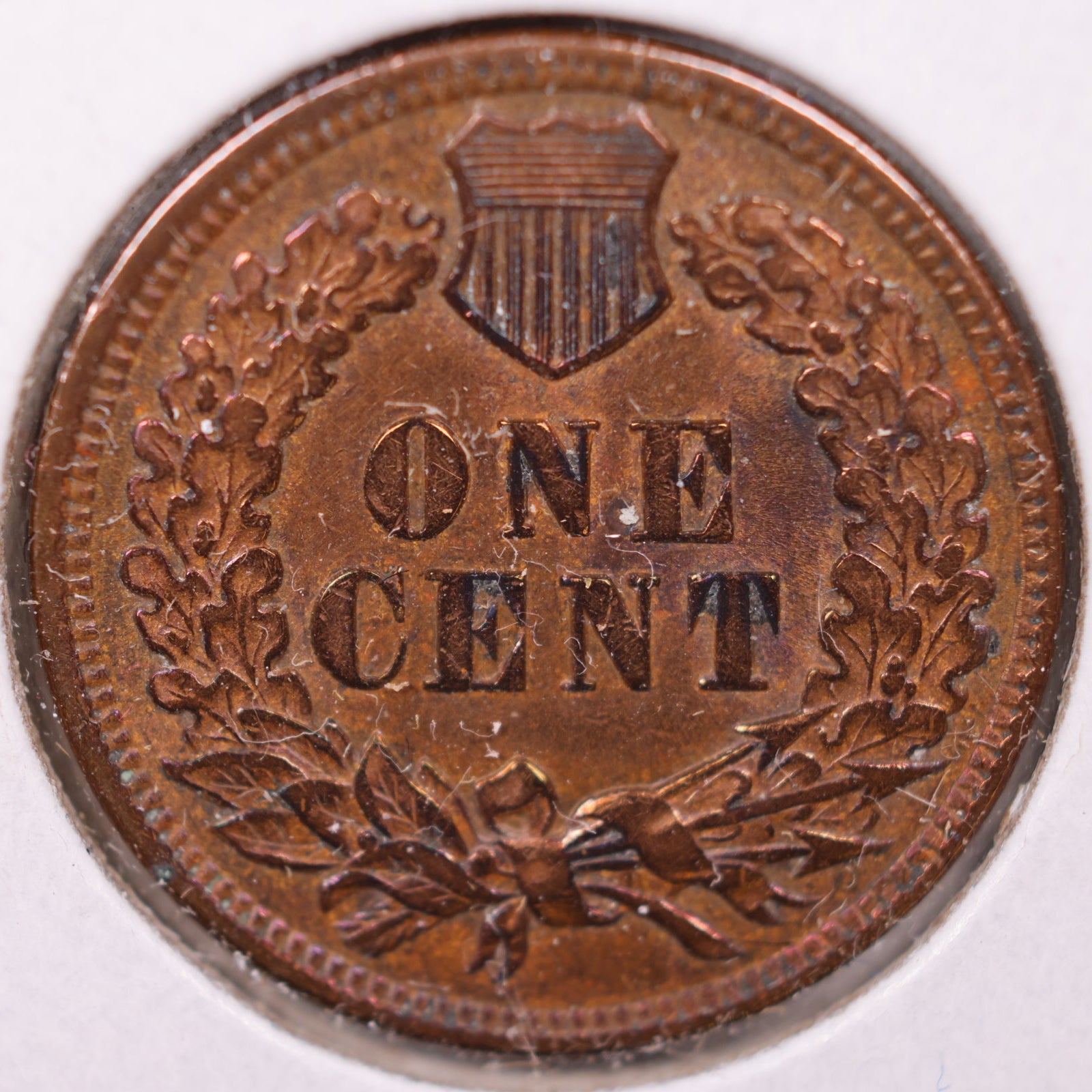 1901 Indian Head Cent, Extra Fine Detail Circulated Coin, Store #CT1114
