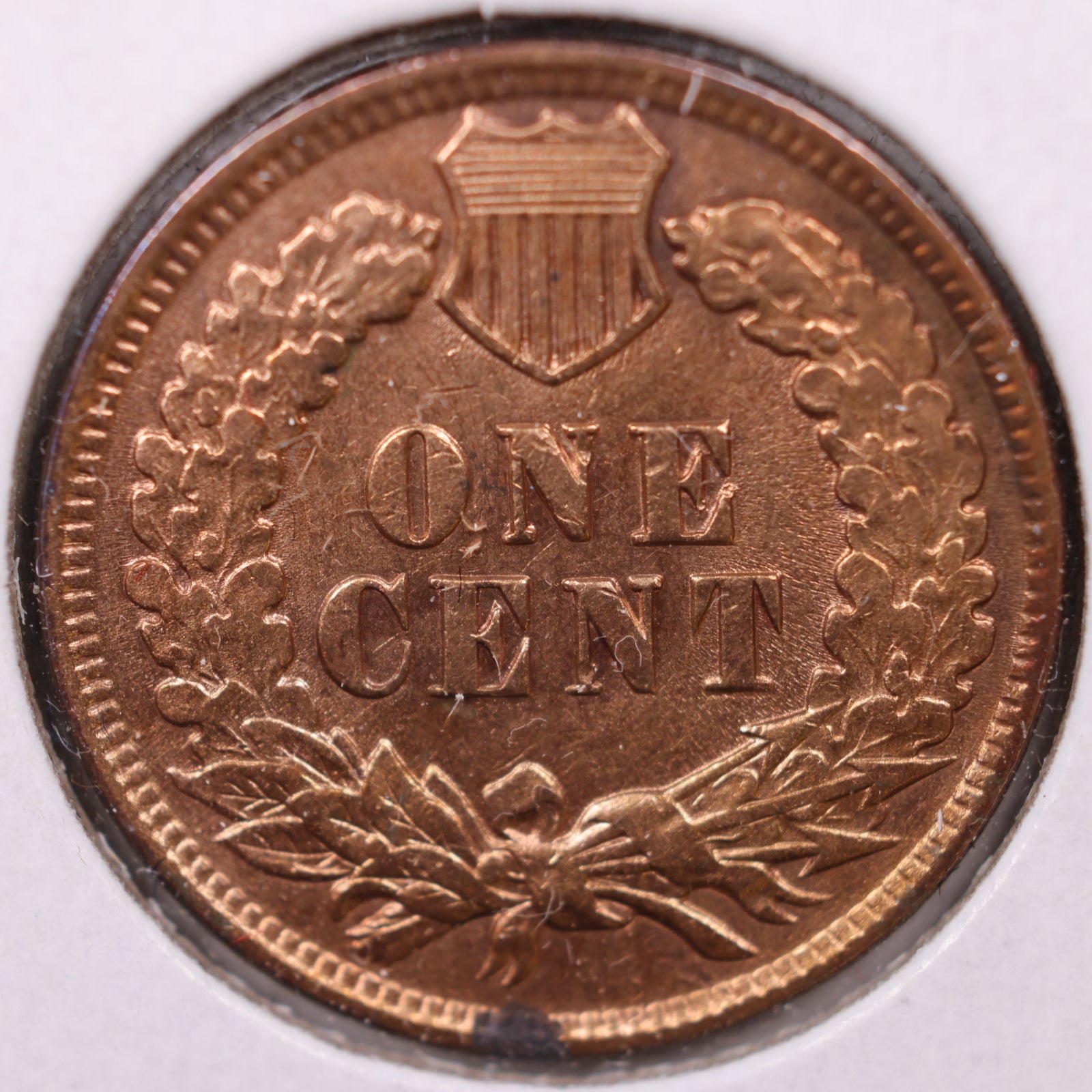 1901 Indian Head Cent, Mint State Uncirculated Coin, Store #CT1115