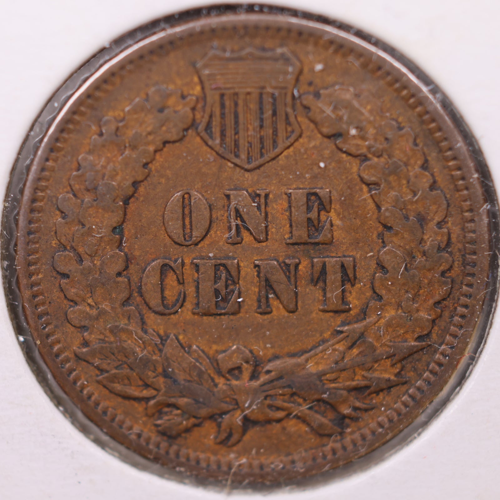 1902 Indian Head Cent, Extra Fine Circulated Coin, Store #CT1118