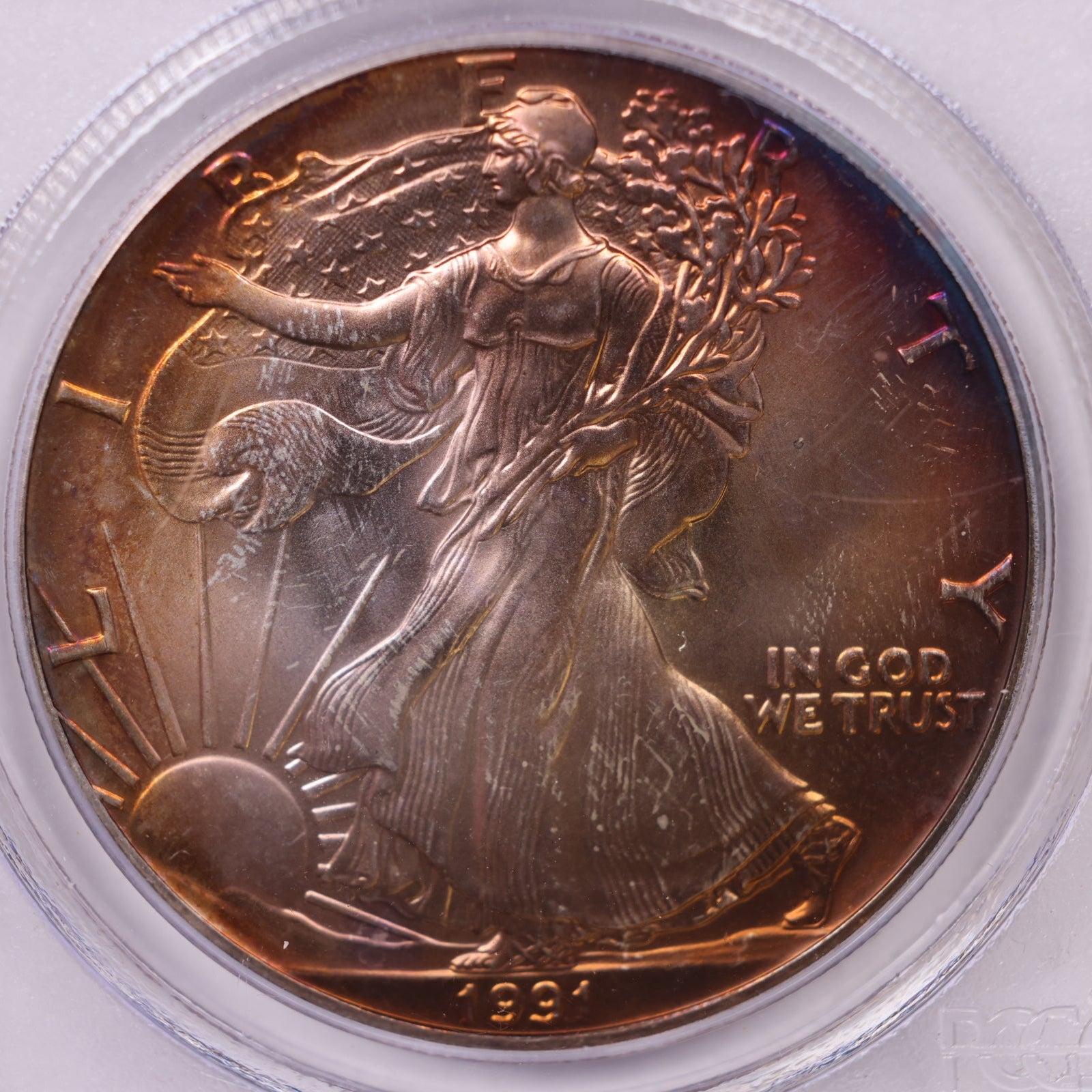 1991 American Silver Eagle Toner, PCGS MS-66, Store#AE0303